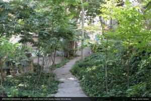 گزارش تصویری چهارمین رویداد صبح خلاق تهران با سخنرانی شیما قوشه