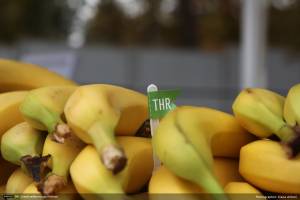 گزارش تصویری چهاردهمین رویداد صبح خلاق تهران با سخنرانی مجید کیانپور