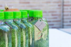 گزارش تصویری دومین رویداد صبح خلاق تهران با سخنرانی استاد محمدرضا عبدالملکیان در مجموعه باغ موزه قصر و در تالار فرخی یزدی برگزار شد