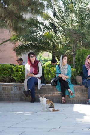 گزارش تصویری دومین رویداد صبح خلاق تهران با سخنرانی استاد محمدرضا عبدالملکیان در مجموعه باغ موزه قصر و در تالار فرخی یزدی برگزار شد