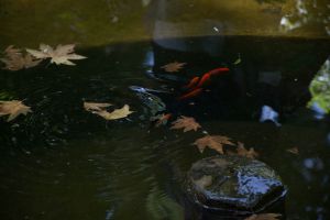 گزارش تصویری سومین رویداد صبح خلاق تهران با سخنرانی لیلا قاسم‌زاده در سالن همایش کانون زبان پارسی بنیاد موقوفات افشار برگزار شد